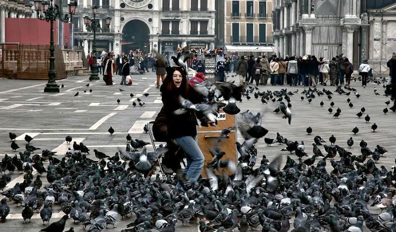bird proofing spikes - woman surrounded with pigeons in Venice