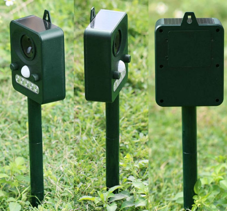 9 Bird Scares That Will Work Its Magic On Your Property