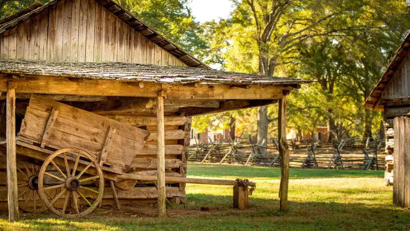 How To Get Rid Of Pigeons In A Barn Tips To For A Bird Free Farm