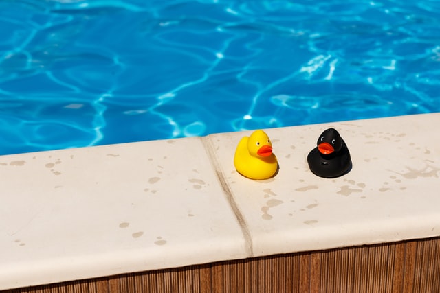how to keep birds away from swimming pool