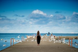 how to keep birds off boat docks