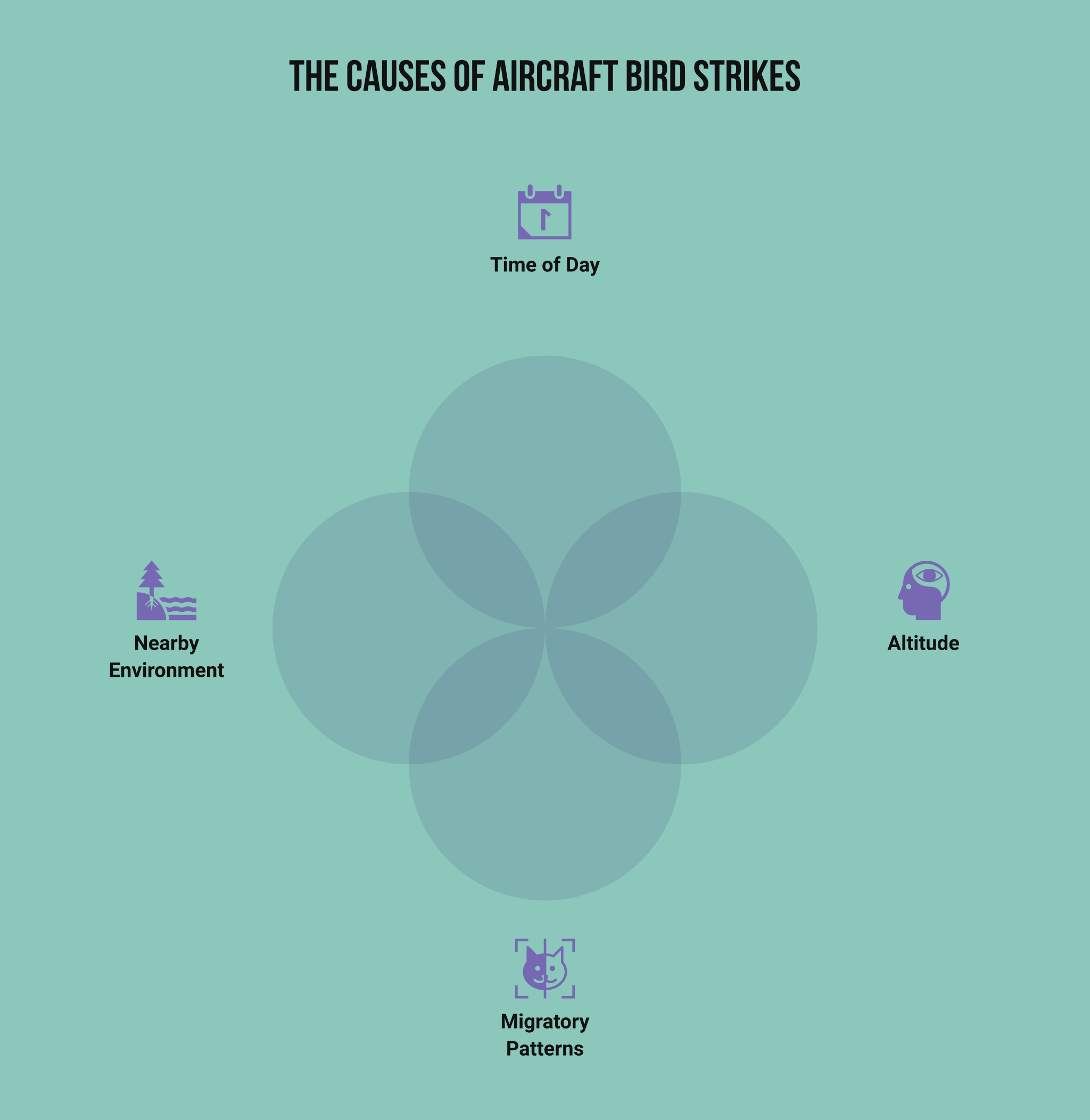 how to prevent bird strikes on aircraft