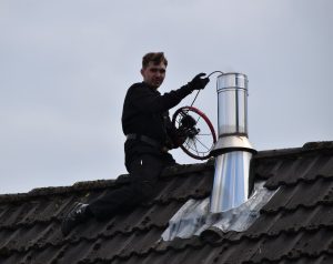 bird stuck in chimney who to call