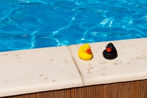 how to keep birds away from swimming pool